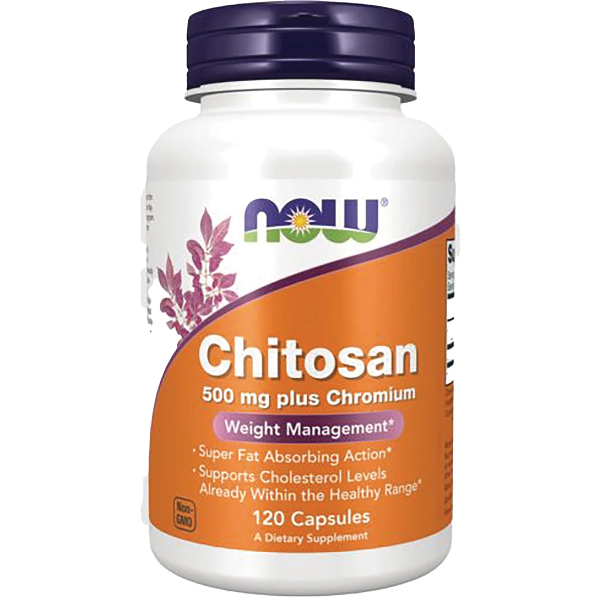 NOW Foods Chitosan