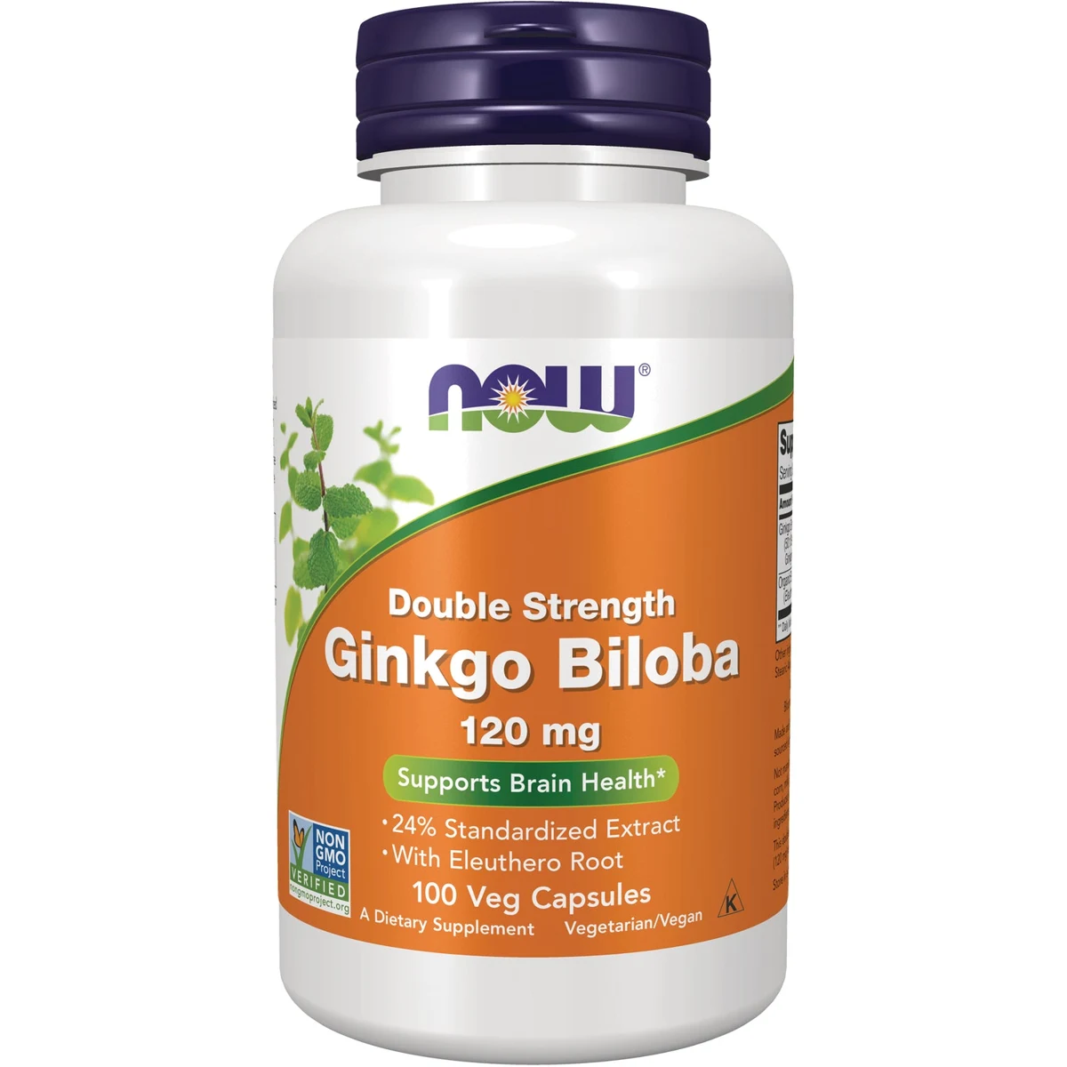 NOW Foods Double Strength Ginkgo Biloba