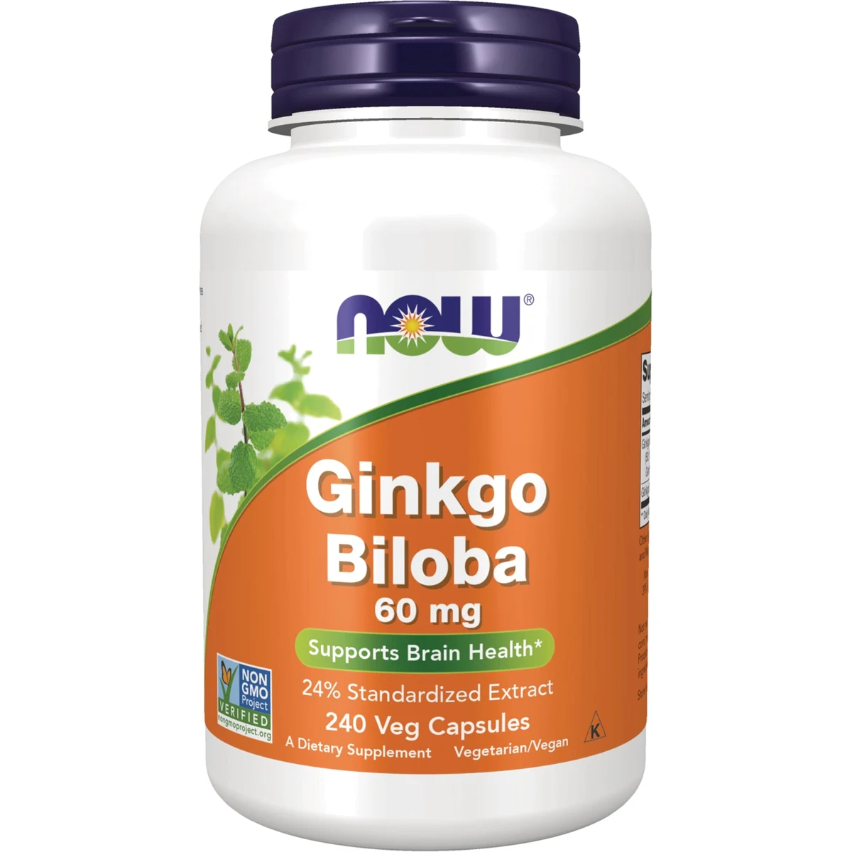 NOW Foods Ginkgo Biloba