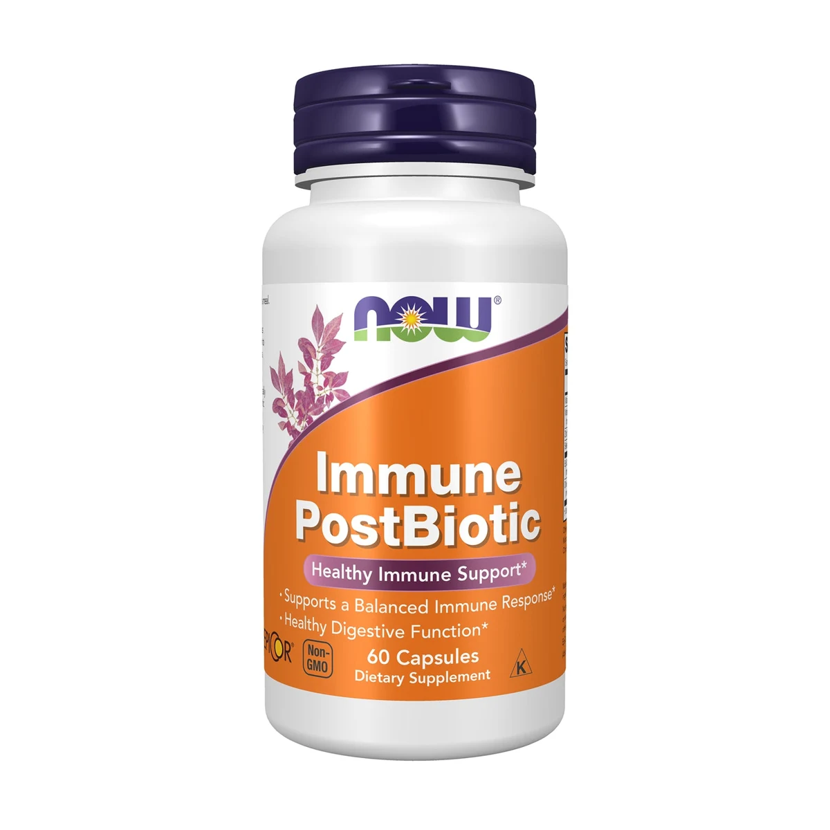 NOW Foods Immune PostBiotic