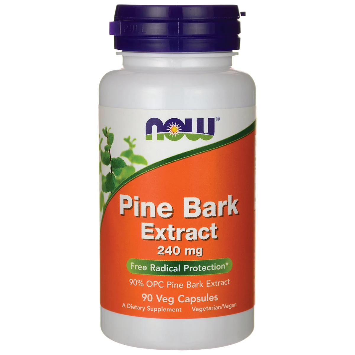 NOW Foods Pine Bark Extract