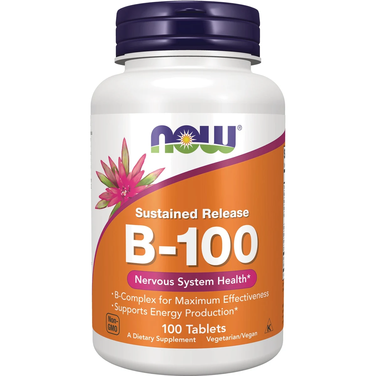NOW Foods Sustained Release B-100